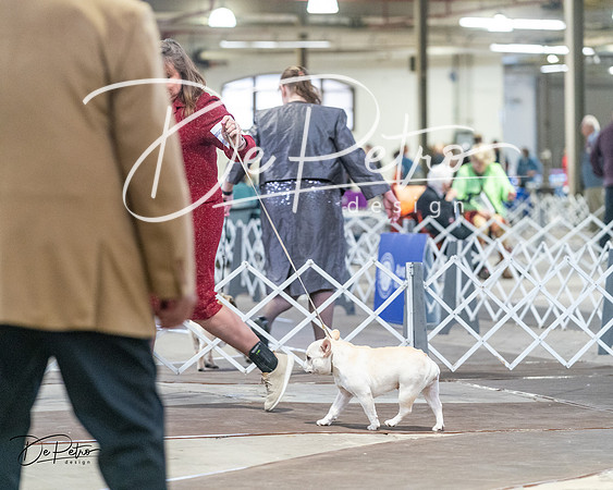 20240328-DSC00342
