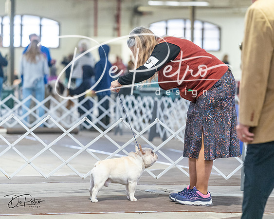 20240328-DSC00372