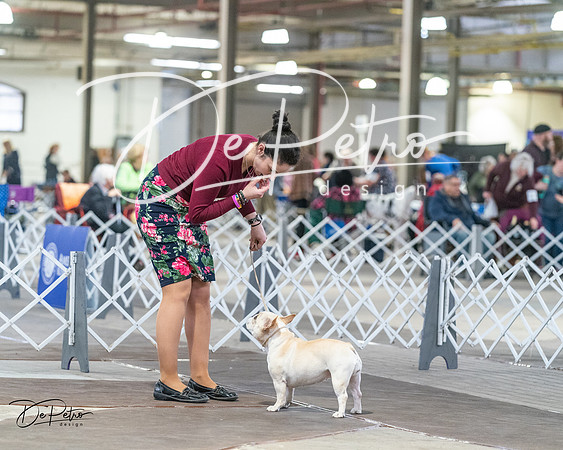 20240328-DSC00378
