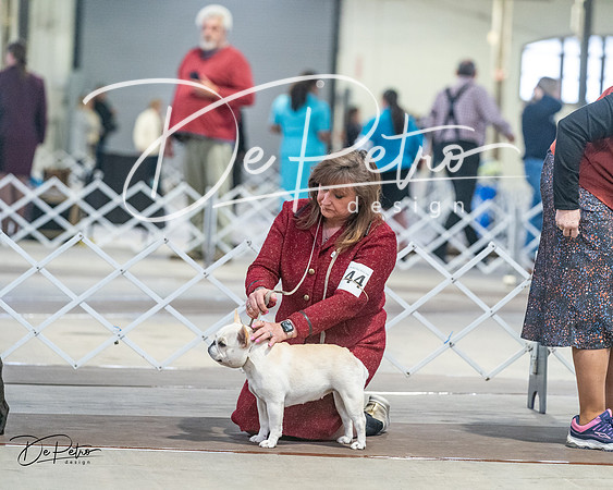20240328-DSC00393