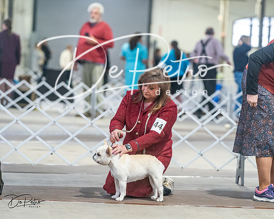 20240328-DSC00394