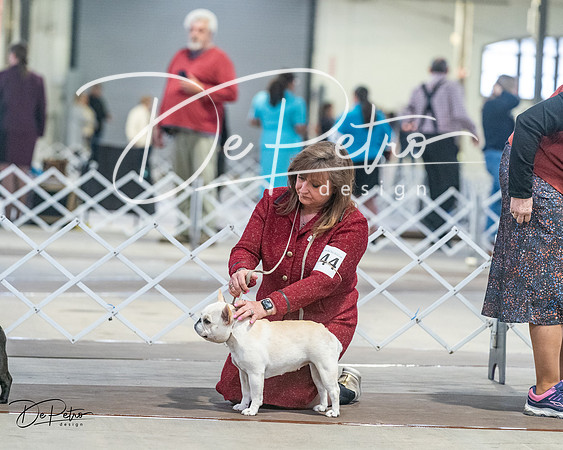 20240328-DSC00396