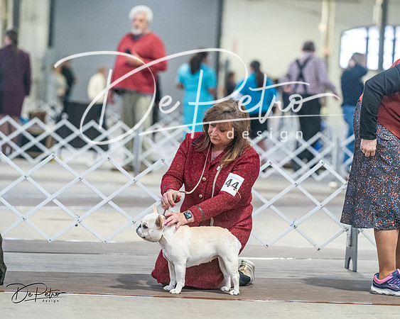 20240328-DSC00395