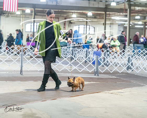20240328-DSC09923