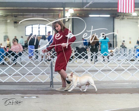 20240328-DSC09924
