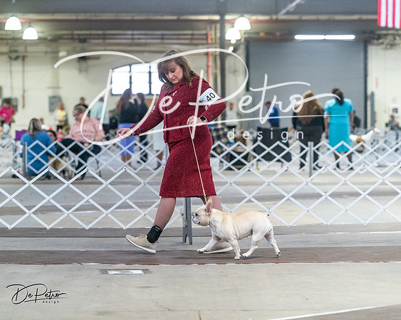 20240328-DSC09927
