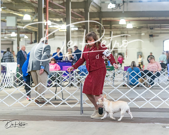 20240328-DSC09940