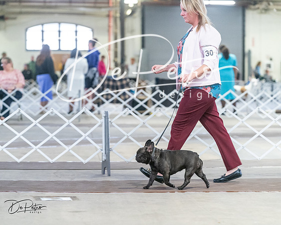 20240328-DSC09950