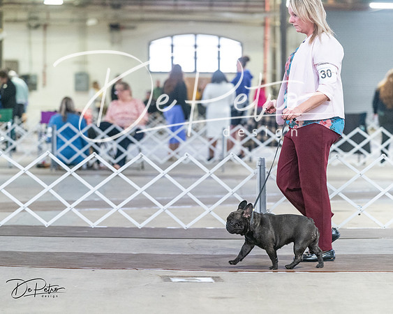 20240328-DSC09956