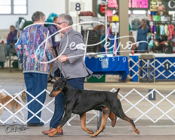 20240328-DSC03289