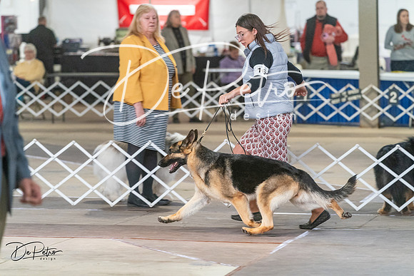 20240328-DSC03264