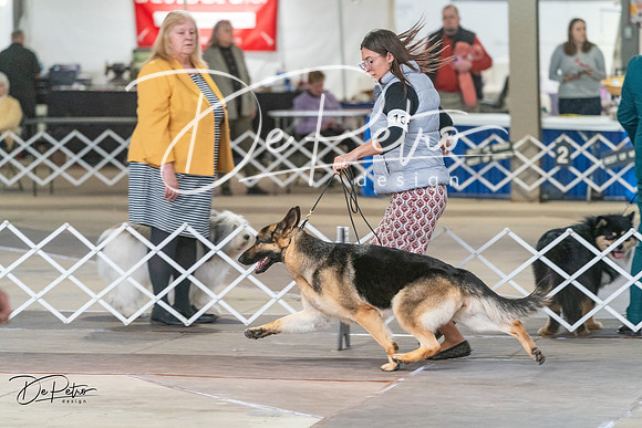 20240328-DSC03263