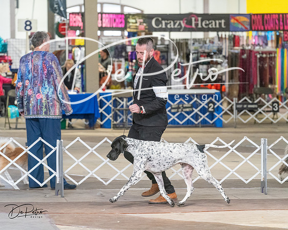 20240328-DSC03316