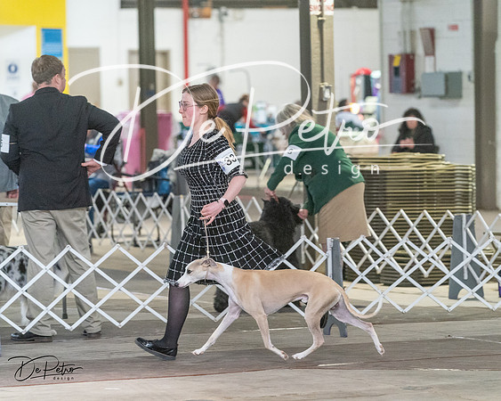 20240328-DSC03335