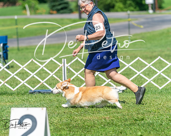 20250629-DSC00857