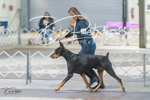 20240328-DSC09581