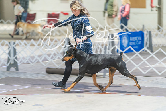 20240328-DSC09600