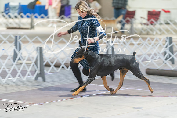 20240328-DSC09609