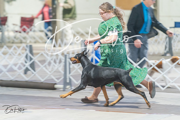 20240328-DSC09675