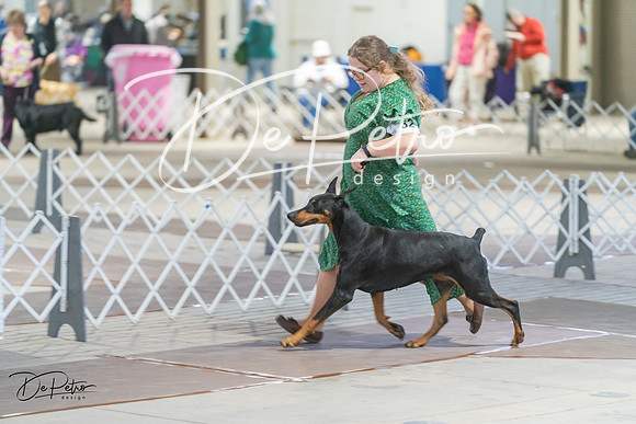 20240328-DSC09689