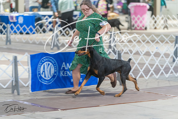 20240328-DSC09704