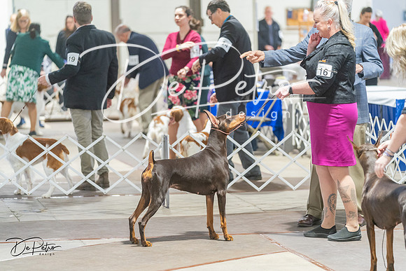 20240328-DSC09710