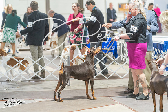 20240328-DSC09709