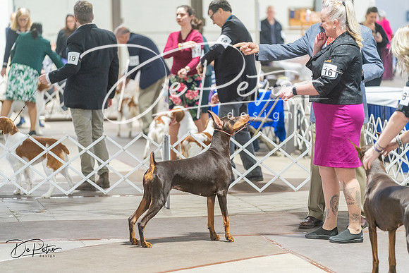 20240328-DSC09712