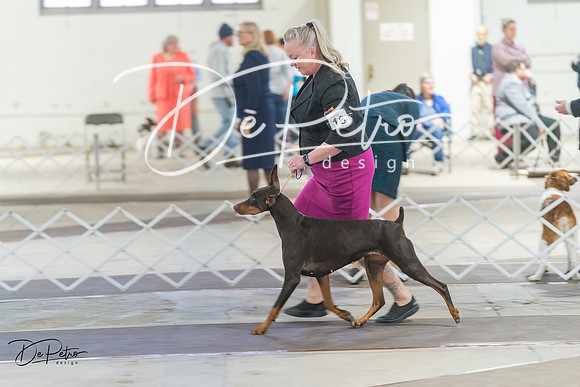 20240328-DSC09725