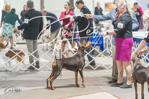 20240328-DSC09713