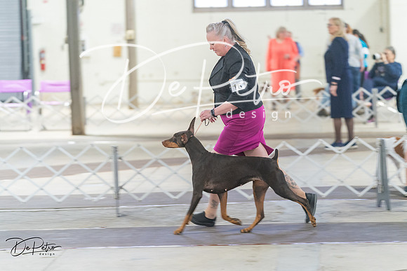 20240328-DSC09734