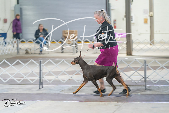 20240328-DSC09746
