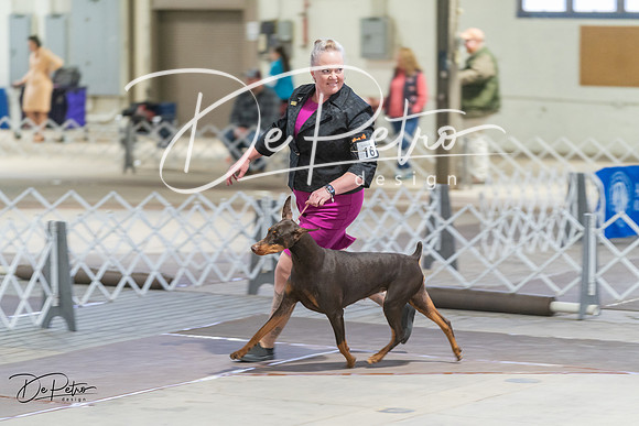 20240328-DSC09776