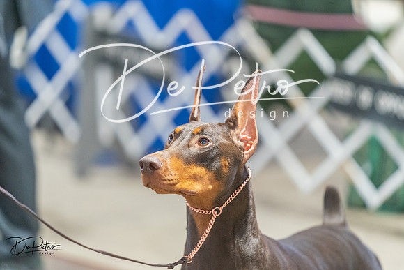 20240328-DSC09781