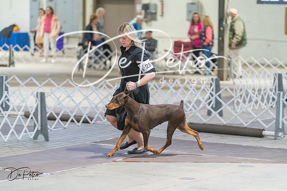 20240328-DSC09822