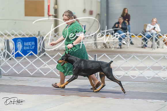 20240328-DSC09833