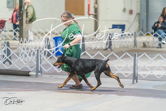 20240328-DSC09838