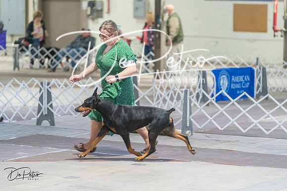 20240328-DSC09847