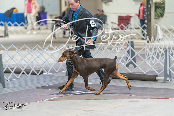 20240328-DSC09858