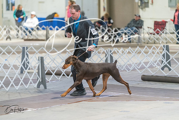 20240328-DSC09862