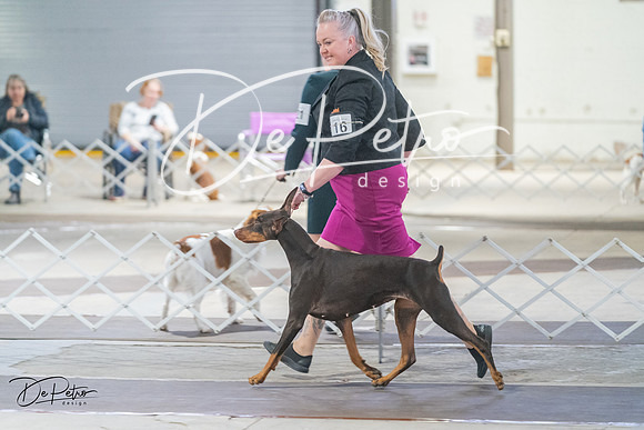 20240328-DSC09873
