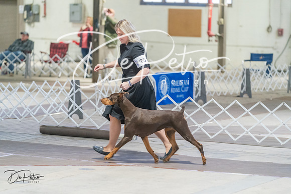 20240328-DSC09902