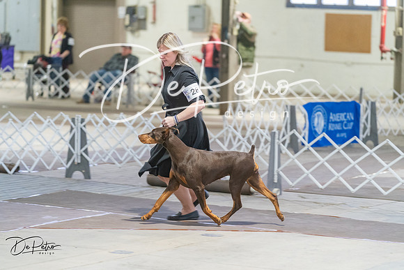 20240328-DSC09907