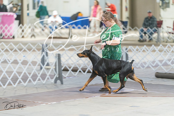 20240328-DSC09684