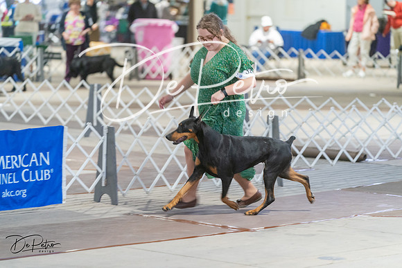 20240328-DSC09694