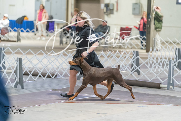 20240328-DSC09912