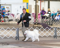 20240328-DSC02263