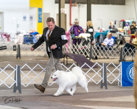 20240328-DSC02260