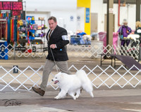 20240328-DSC02267