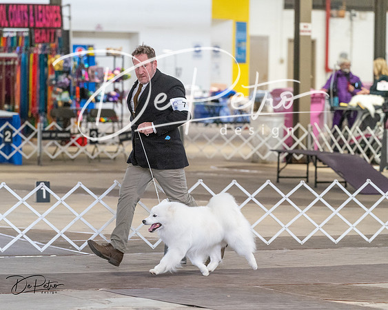 20240328-DSC02267